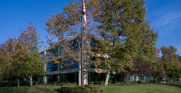 Leading Tax Group 6