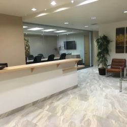 Law Offices of Michael C. Murphy ico