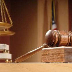 The Law Offices of Michele Cobin Friedlander ico