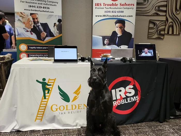 IRS Trouble Solvers, LLC 3