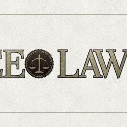 CEO Law LLC ico