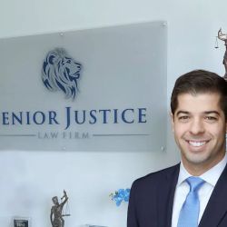 Senior Justice Law Firm | Nursing Home Abuse Attorneys ico
