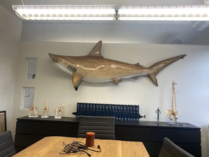 Sharks At Law 2