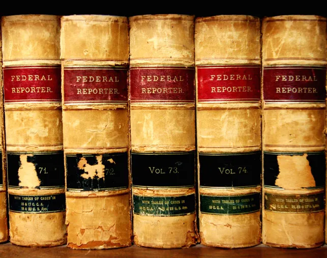 The Law Offices of David L. Salgado, P.C. 7