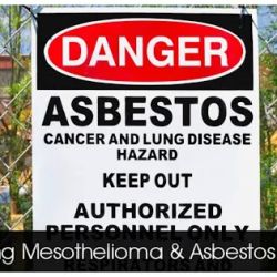 Throneberry Law Group - Asbestos and Mesothelioma Lawyers ico