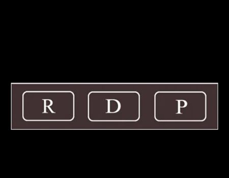 Rachlis Duff & Peel, LLC
