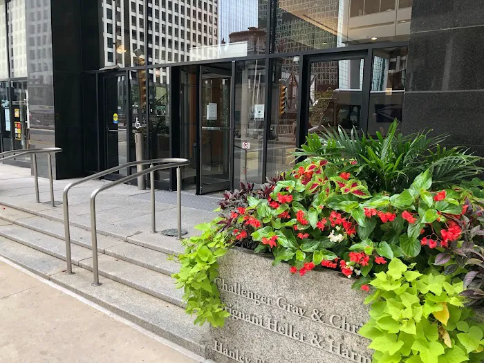 Windy City Legal, LLC 3