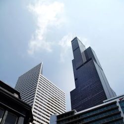 Case + Sedey, LLC ico