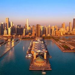 David M. Siegel & Associates ico