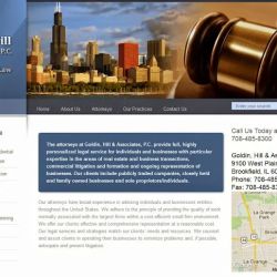 Goldin Hill & Associates ico