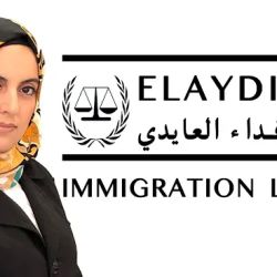 Elaydi Law, LLC ico