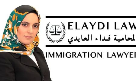 Elaydi Law, LLC