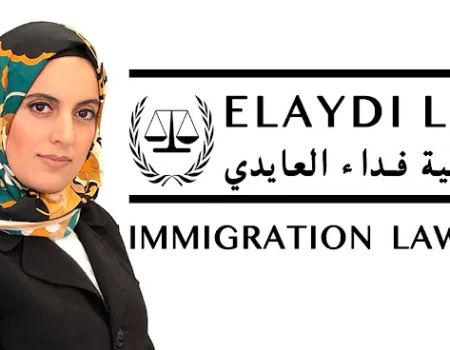 Elaydi Law, LLC