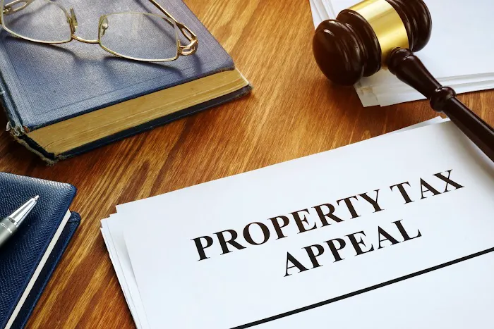 Cook County Tax Appeal 7