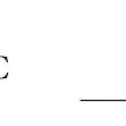 Ian D Fidler Attorney ico