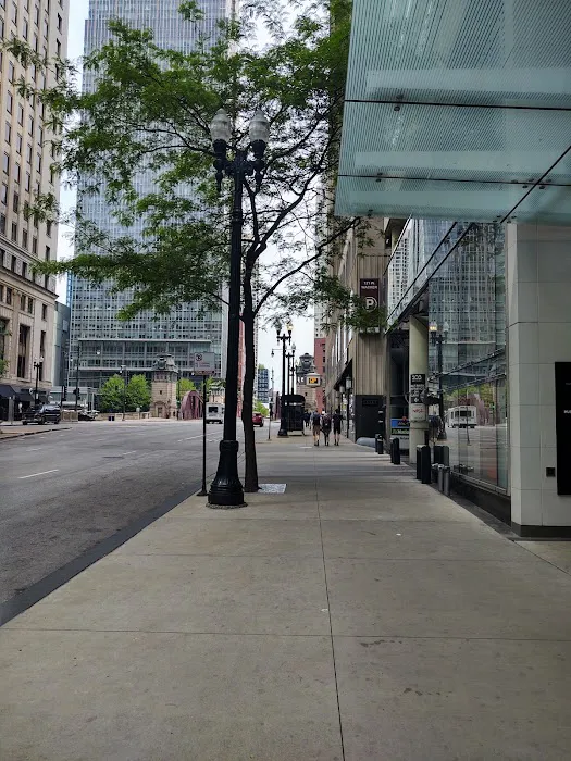D'Arco Tax Resolution-Chicago, IL 1