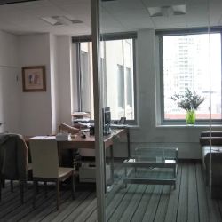 Zhang & Associates, P.C. ico