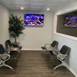 DiBELLA & LAUREAN, LLC ico