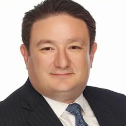 Fridman Legal ico