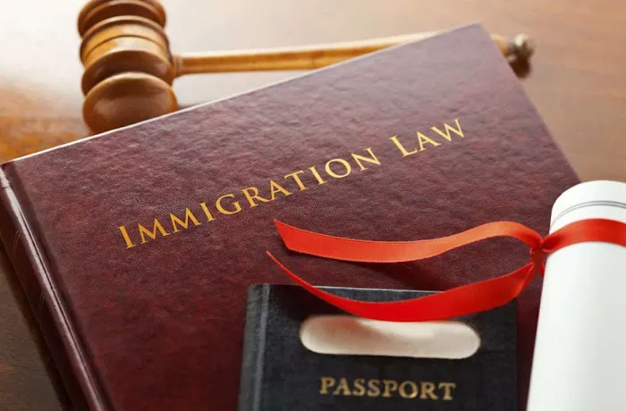 Freedom Immigration 6