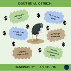 Hipple Law P.C. ico