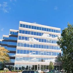 Lageotakes Law Firm: Lageotakes Thomas ico
