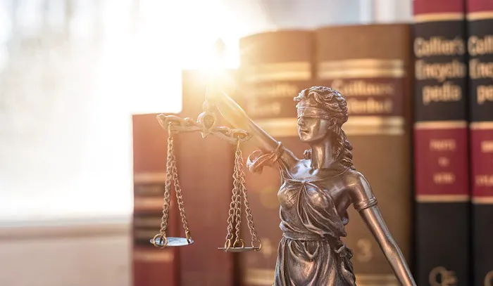 Collins Disability Law 2