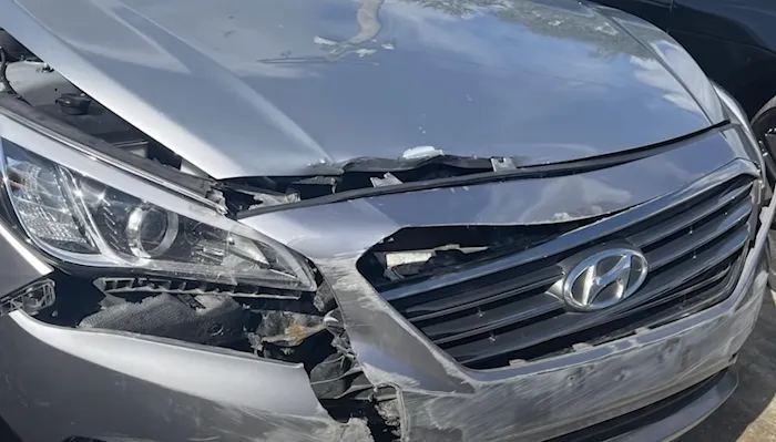 Talisha & Premeaux Law Group Auto Accident Lawyers 3