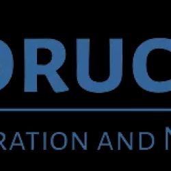 Law Office of Pawel E. Boruch, Esq. ico