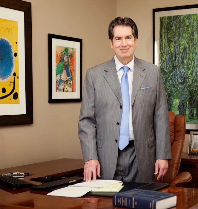 Palmisano Law Group 8