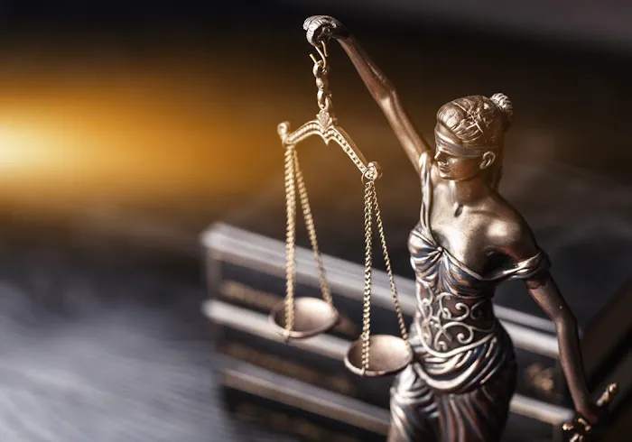 D&O Law Group, LLC 1