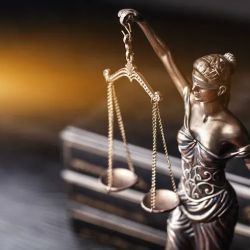 D&O Law Group, LLC ico