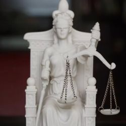 Law Office of Donika Nikolov ico