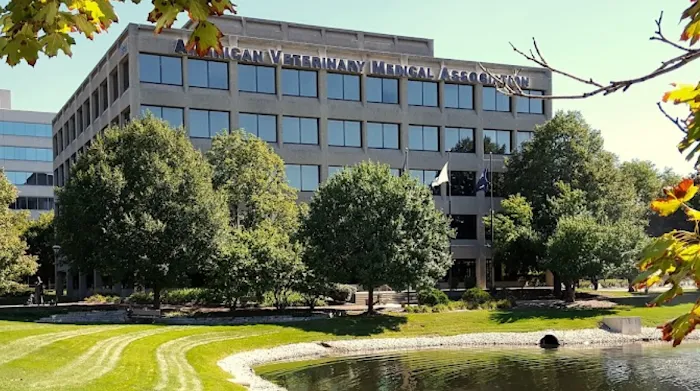 Francis Law Center - Immigration Lawyer/ Abogados de Inmigración Jae Francis 10