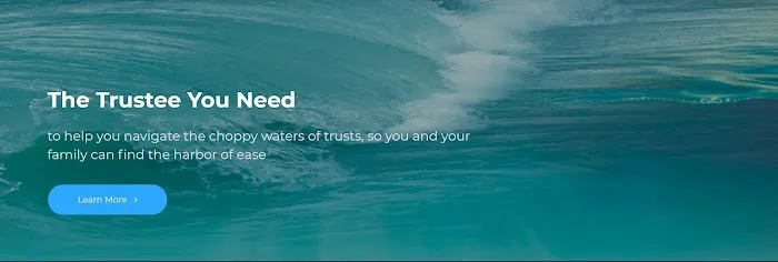 The Professional Trustee 2