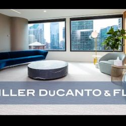 Schiller, Ducanto and Fleck ico