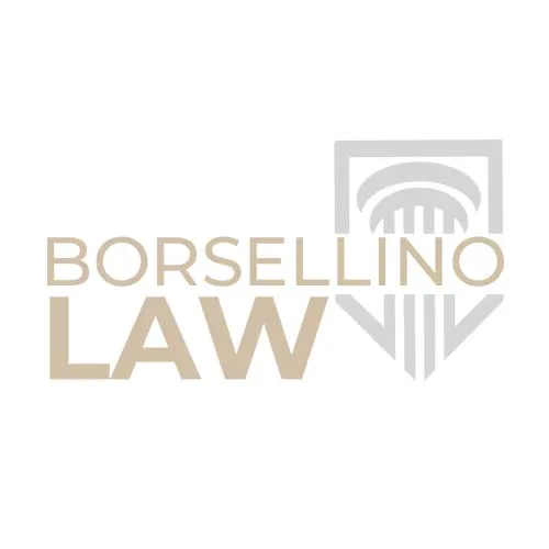 Borsellino Law & Mediation, LLC 3