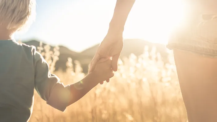 Borsellino Law & Mediation, LLC 5