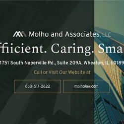 Molho and Associates, LLC ico