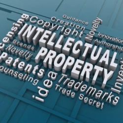 Erickson Law Group, PC ico