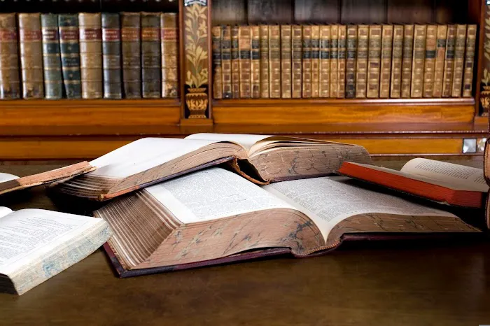 Bingham Law 4