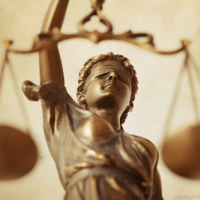 The Law Offices of David L. Salgado, P.C. 7