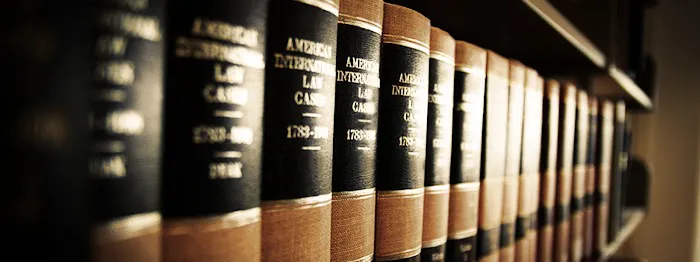 The Law Offices of David L. Salgado, P.C. 6