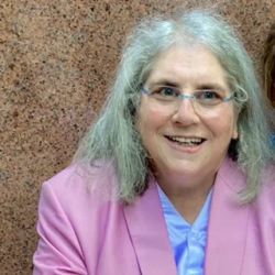Lorraine M. Greenberg & Associates, Naperville Bankruptcy Attorney ico