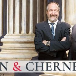 Stein & Cherney ico