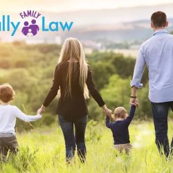 Sally Family Law ico