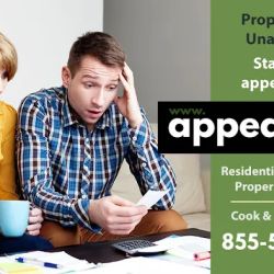 Appeal.Tax ico