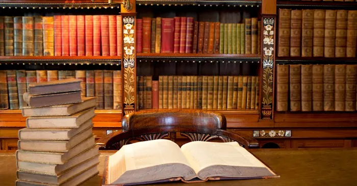 France Law Offices, P.C. 1