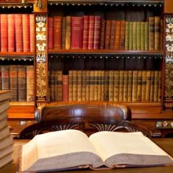 France Law Offices, P.C. ico