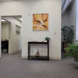 Law Offices of Christy M. Hall, LLC ico